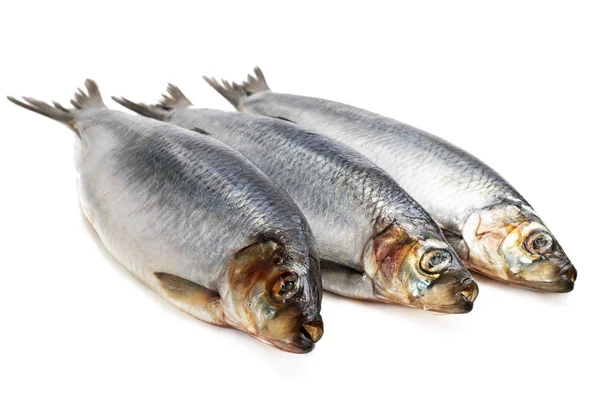 Ensemble de poissons de hareng frais entiers isolés sur blanc — Photo