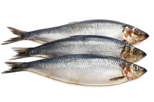 Набір свіжої цільної риби оселедця ізольовані на білому — стокове фото