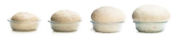 time  lapse yeast dough in the clear glass bowl isolated on white 