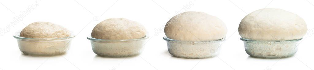 time  lapse yeast dough in the clear glass bowl isolated on white 