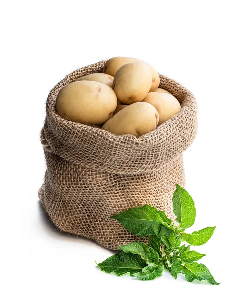 New Potatoes Sackcloth Bag Isolated White — Stock Photo, Image