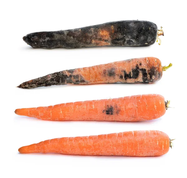 Conjunto Zanahorias Diferentes Etapas Descomposición — Foto de Stock