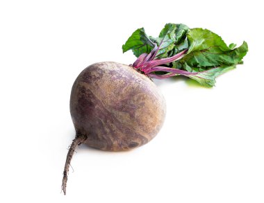 Taze pancar kökü ve beyaz yapraklar. 