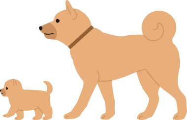 Yürüyen köpek yavrusu ve üst köpek