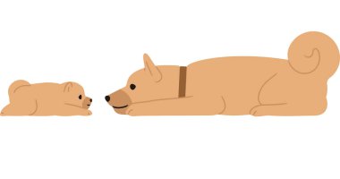 Köpek yavrusu ve üst köpek karşı karşıya