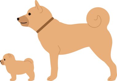 Köpek yavrusu ve üst köpek