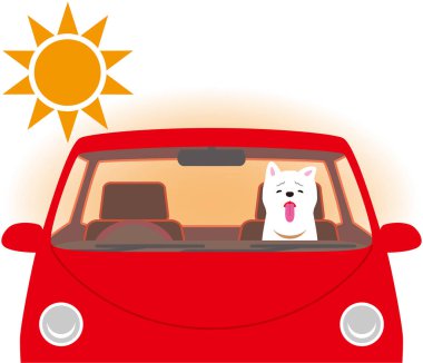 Güneş çarpması riski. Arabanın içinde sınırlı köpek.