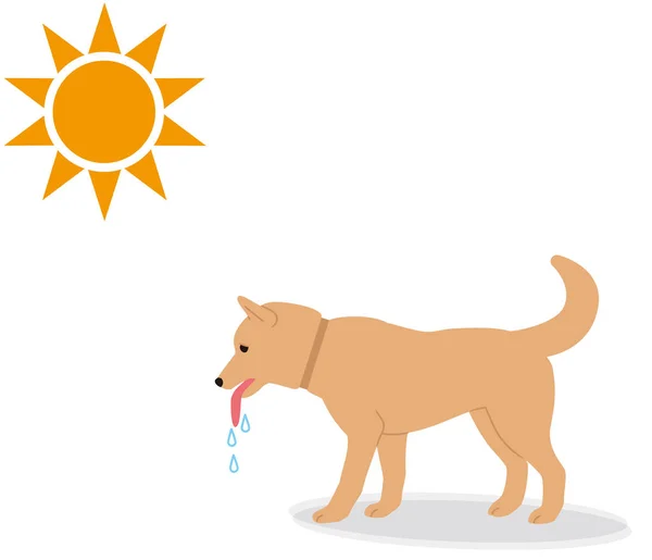 Symptoms Heat Stroke Dogs — Stock Vector