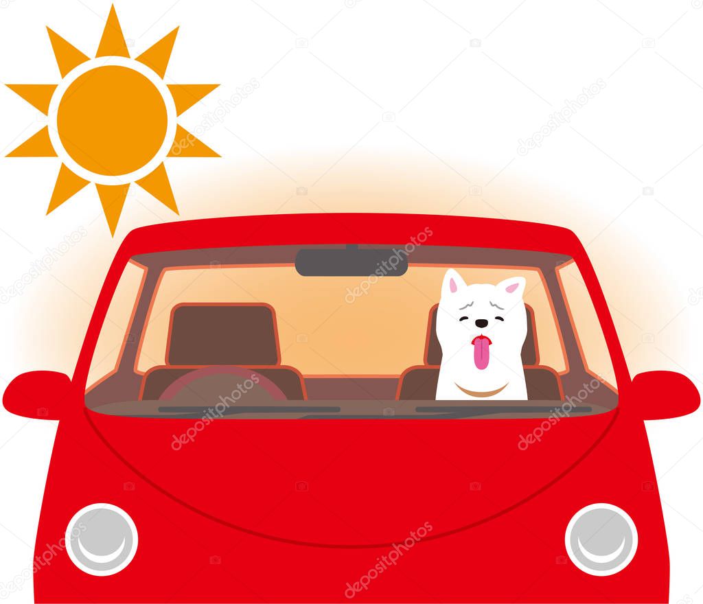 Risk of heat stroke. Dog confined inside the car.