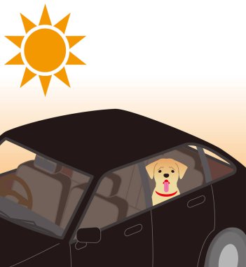 Güneş çarpması riski. Arabanın içinde sınırlı köpek.