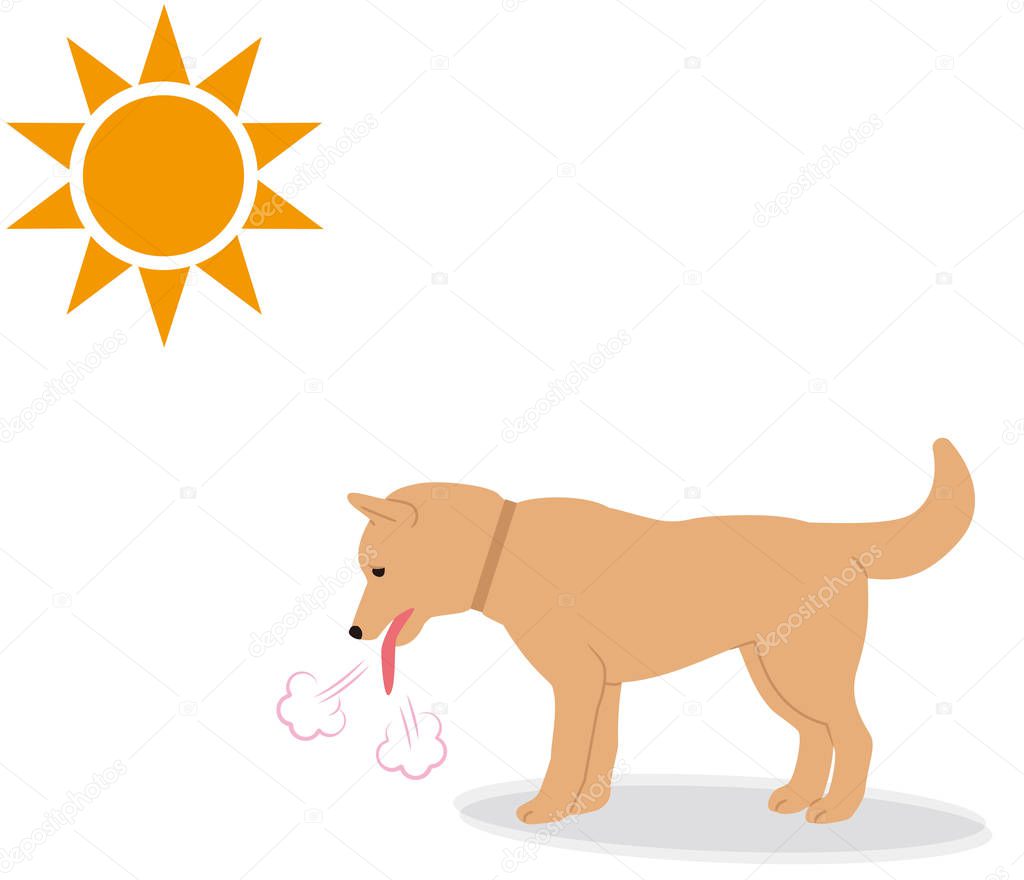 Symptoms of heat stroke in dogs.Rough breathing.