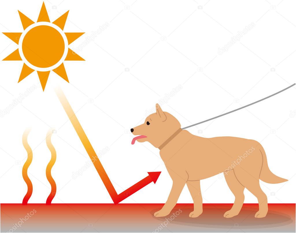 An environment where dogs are susceptible to heat stroke. Radiant heat.