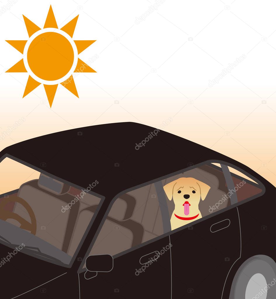 Risk of heat stroke. Dog confined inside the car.