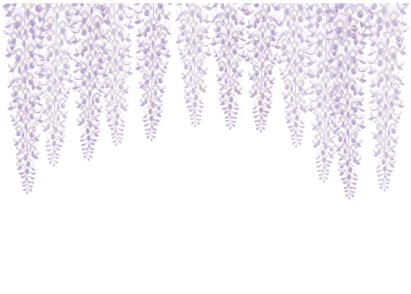 Wisteria çiçek. Japon tarzı görüntü.