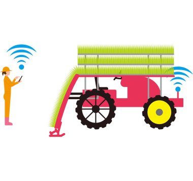 Mekanizasyon pirinç bitkileri