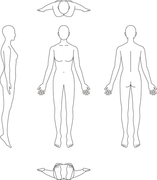 Illustrazione Del Corpo Umano Schizzo Femminile — Vettoriale Stock