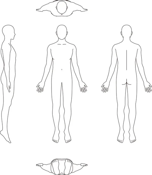 Illustration Des Menschlichen Körpers Männlicher Sketch — Stockvektor