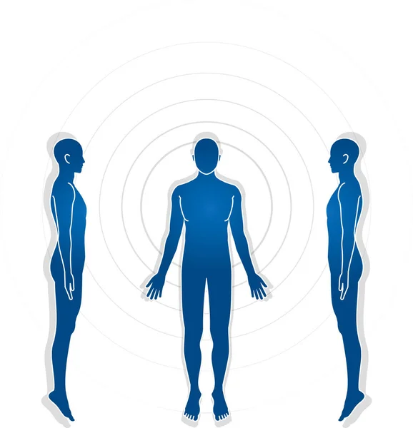 Ilustrace Lidského Těla Mužský Náčrt — Stockový vektor