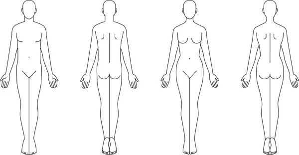 Illustration Corps Humain Croquis Masculin Féminin — Image vectorielle