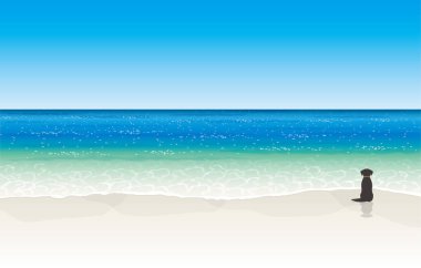 Tropikal bir deniz ve sahilde bir köpek.