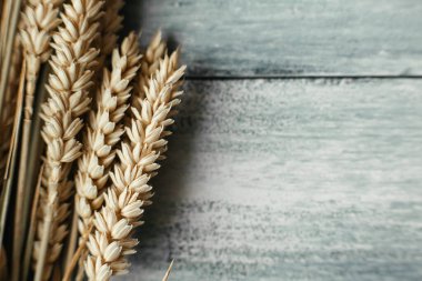 Açık ahşap arka planda buğday yakın plan. makro çekim.