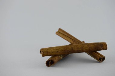 İzole tarçın gri arka plan üzerinde sopa