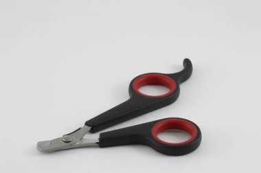 Beyaz arka planda izole kediler için tırnak makası