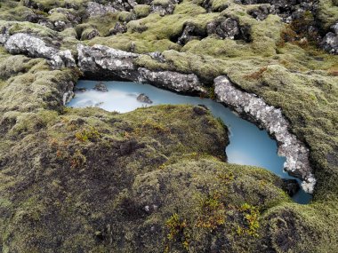 Silis çamur zengin su Reykjanes Yarımadası, İzlanda yosun kaplı kaya tarafından çevrili
