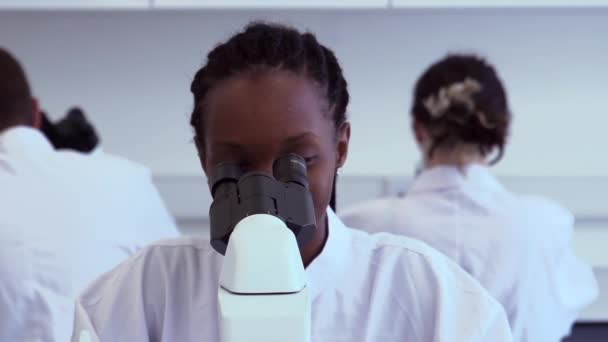 Cientista Afro Americano Tem Pesquisado Laboratório Olhando Através Microscópio Tomando — Vídeo de Stock