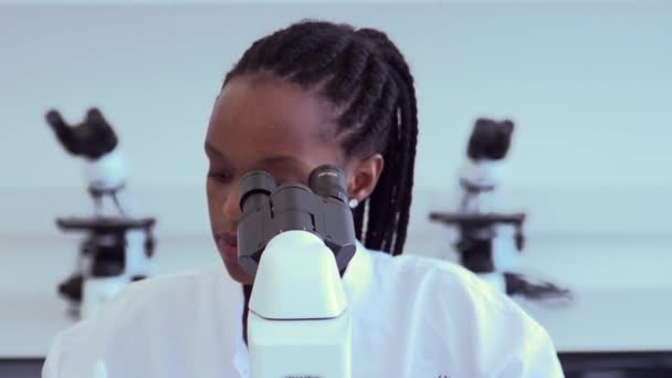 Cientista Afro Americano Tem Pesquisado Laboratório Olhando Através Microscópio Tomando — Vídeo de Stock