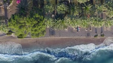 Yaz aylarında yeşil ağaçlar ve güzel deniz ile güzel koy ve plaj hava drone atış üst görünümü