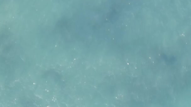 美景空中无人机拍摄美丽的海湾和海滩与绿色树木和美丽的海在夏季 — 图库视频影像