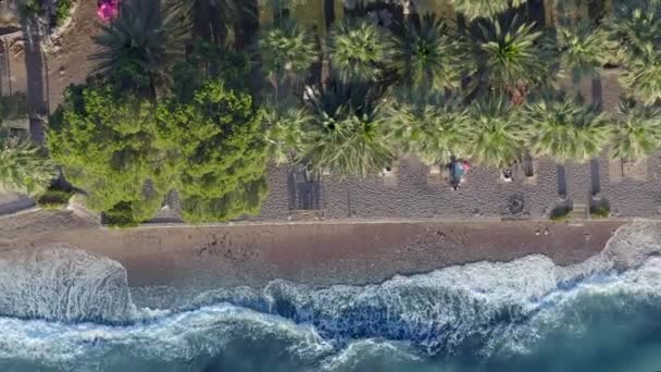 Vue de dessus plan de drone aérien de belle baie et plage avec des arbres verts et belle mer en été 