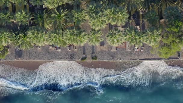 Воздушный Дрон Видом Сверху Красивую Бухту Зелеными Деревьями Красивым Морем — стоковое видео
