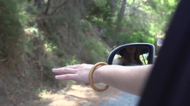 Happy Beautiful Girl Traveling Car Taking Her Hand Out Window — Stock Video