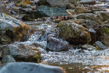 Küçük bir şelale ve kayalar sahne