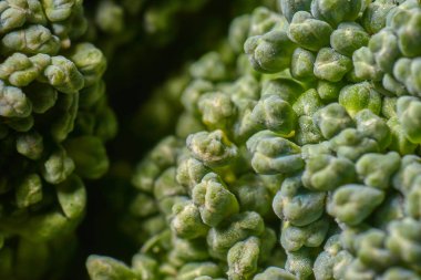 Taze yeşil maco sahne