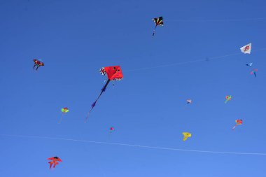 Bangladeş 'teki Coxs Bazar plajındaki Uçurtma Festivali' nde katılımcı renkli uçurtmalar. 1 Şubat 2019 'da Bangladeş Kite Federasyonu tarafından Bangladeş' in başkenti Cox 's Bazar' da düzenlenen Ulusal Uçurtma Festivali 2019. 