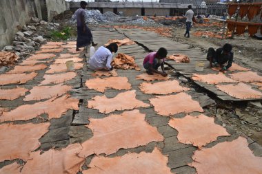 Bangladeşli işçi 8 Nisan 2017 Dhaka bir tabakhane işlenmiş deri parçaları kurur. 