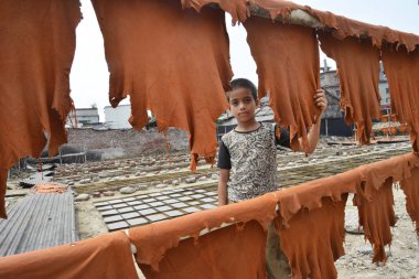 Bir Bangladeşli çocuk çalışanı 8 Nisan 2017 Dhaka bir tabakhane işlenmiş deri parçaları kurur. 
