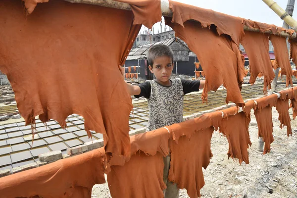 Bir Bangladeşli çocuk çalışanı 8 Nisan 2017 Dhaka bir tabakhane işlenmiş deri parçaları kurur. 