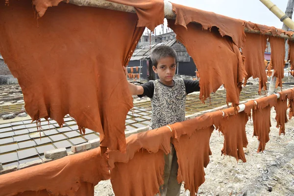 Bir Bangladeşli çocuk çalışanı 8 Nisan 2017 Dhaka bir tabakhane işlenmiş deri parçaları kurur. 