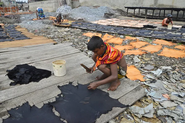 Бангладешский Детский Работник Высушивает Кусочки Обработанной Кожи Кожевенном Заводе Дакке — стоковое фото