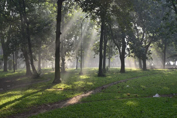 Bangladeshi Ludzi Idą Dla Dobrego Zdrowia Zimowy Poranek Ramna Park — Zdjęcie stockowe