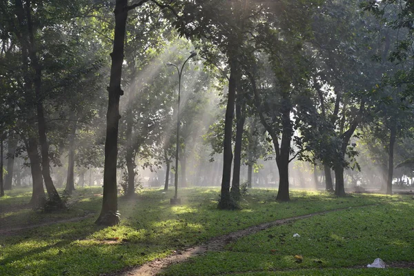 Bangladeshi Ludzi Idą Dla Dobrego Zdrowia Zimowy Poranek Ramna Park — Zdjęcie stockowe