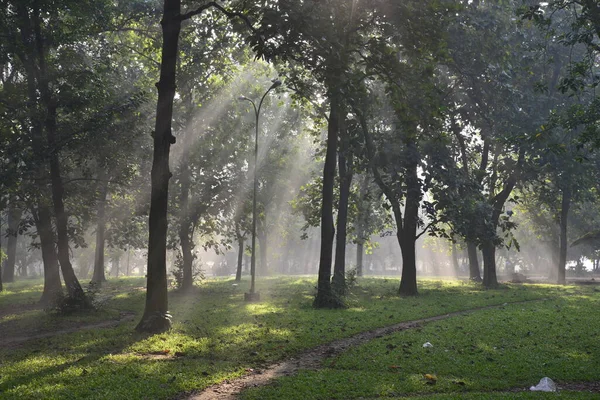 Bangladeshi Ludzi Idą Dla Dobrego Zdrowia Zimowy Poranek Ramna Park — Zdjęcie stockowe