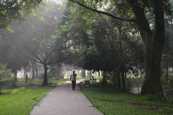 Bangladeshi Ludzi Idą Dla Dobrego Zdrowia Zimowy Poranek Ramna Park — Zdjęcie stockowe