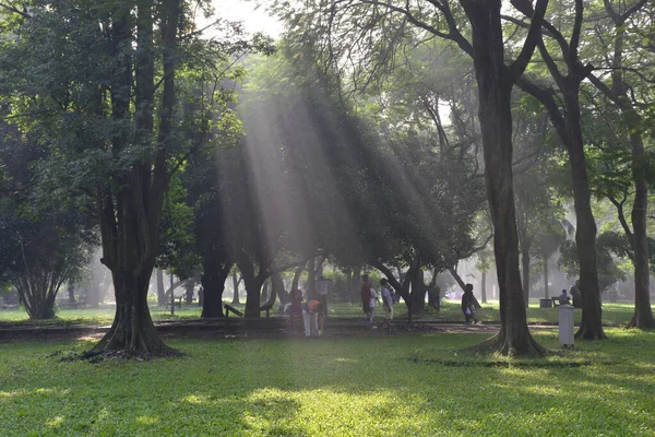 Bangladeshi Ludzi Idą Dla Dobrego Zdrowia Zimowy Poranek Ramna Park — Zdjęcie stockowe