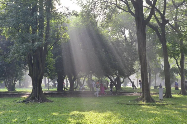 Bangladeshi Ludzi Idą Dla Dobrego Zdrowia Zimowy Poranek Ramna Park — Zdjęcie stockowe