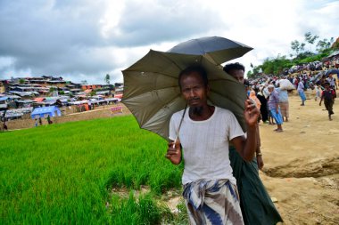 Rohingya mültecileri, 06 Eylül 2017 'de Bangladeş, Cox' s Bazar 'daki palongkhali derme çatma kampında çeltik tarlasında yürüyorlar.
